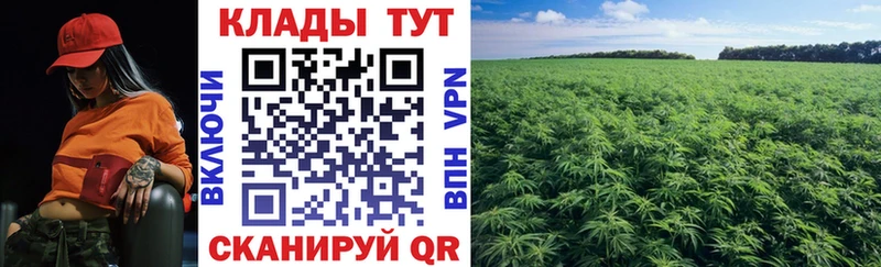 МЕТАДОН Узловая