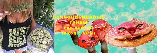 стаф Покров