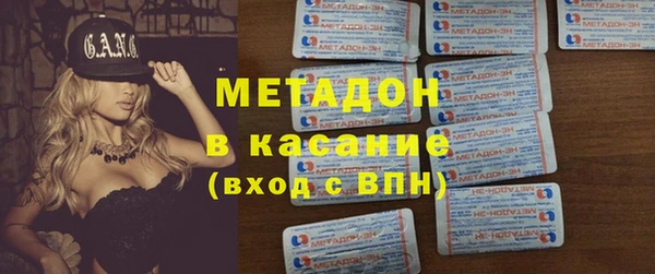 шишки Магас