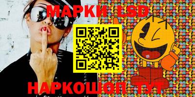 стафф Донской