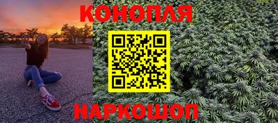 стафф Донской
