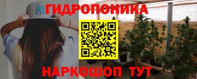 стафф Донской