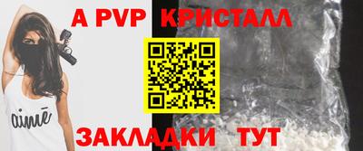 стафф Донской