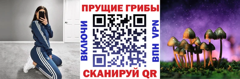 Галлюциногенные грибы мухоморы  наркотики  Узловая 