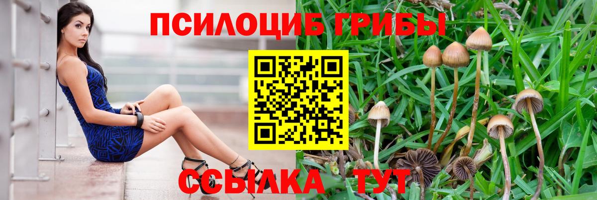что такое   Вход с VPN  Галлюциногенные грибы MAGIC MUSHROOMS  Узловая  Псилоцибиновые грибы MAGIC MUSHROOMS 